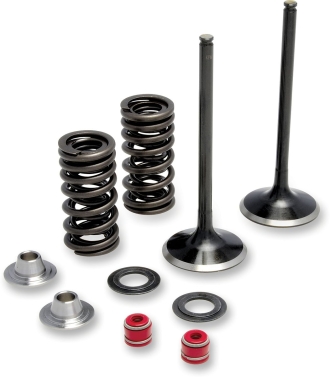VALVE KIT IN MSE 450EXC